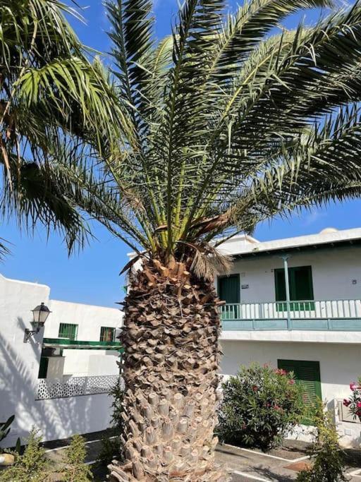 Apartamento Amura En Playa De Las Cucharas 코스타 테기세 외부 사진